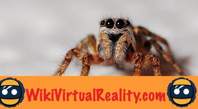 Conviértete en una araña en realidad virtual con esta extraña experiencia