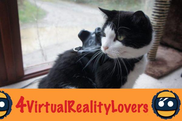 Pixel triangolari: porta il tuo gatto in VR con il VIVE Tracker