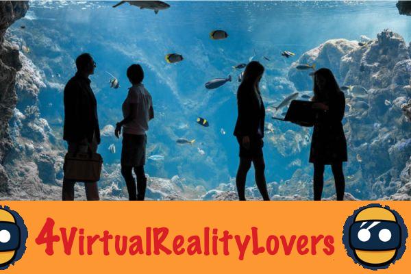 Océanopolis lanza una experiencia didáctica de realidad virtual única